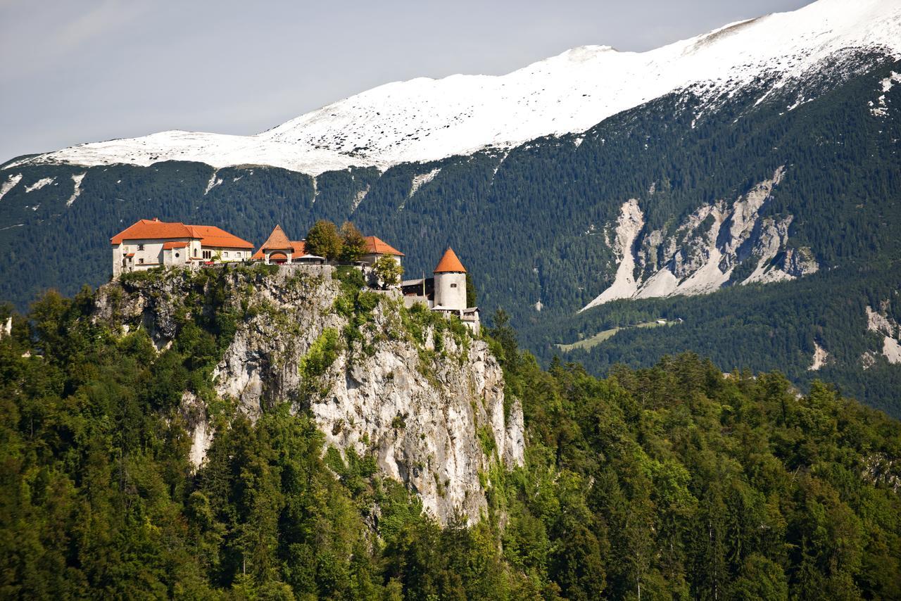 Vila Lipa Bled Esterno foto
